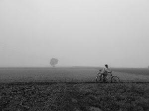 Monochrome image capturing a cyclist in the hazy fields of Ishwardi, Bangladesh.